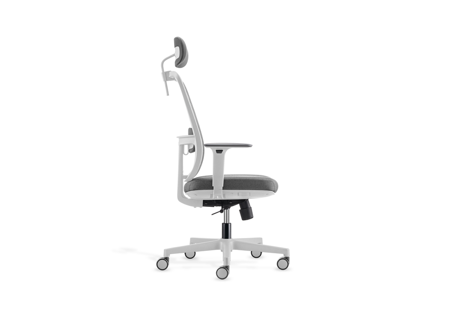 FokusGrey/White
