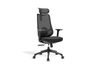 Aarhus Mesh High-Back Office Chair in black shown on a white background, featuring a breathable mesh backrest with built-in lumbar support, height-adjustable headrest, moulded-foam fabric seat with seat-slide function, and 3D adjustable armrests with PU pads. Designed for ergonomic workplace comfort, the chair includes a multi-locking synchro mechanism, smooth gas-lift height adjustment and a durable nylon base with black PU castors for reliable mobility in modern office settings.