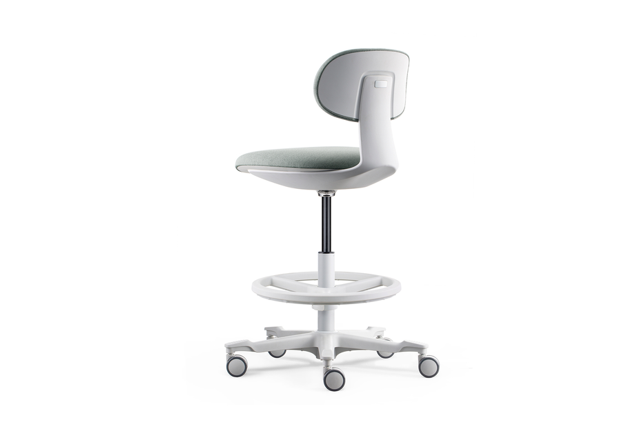 ToroGrey/White